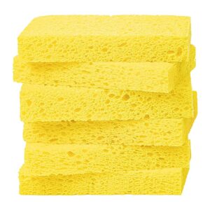 Sponge Refill (10-Pack) for Kitch'n Soap™